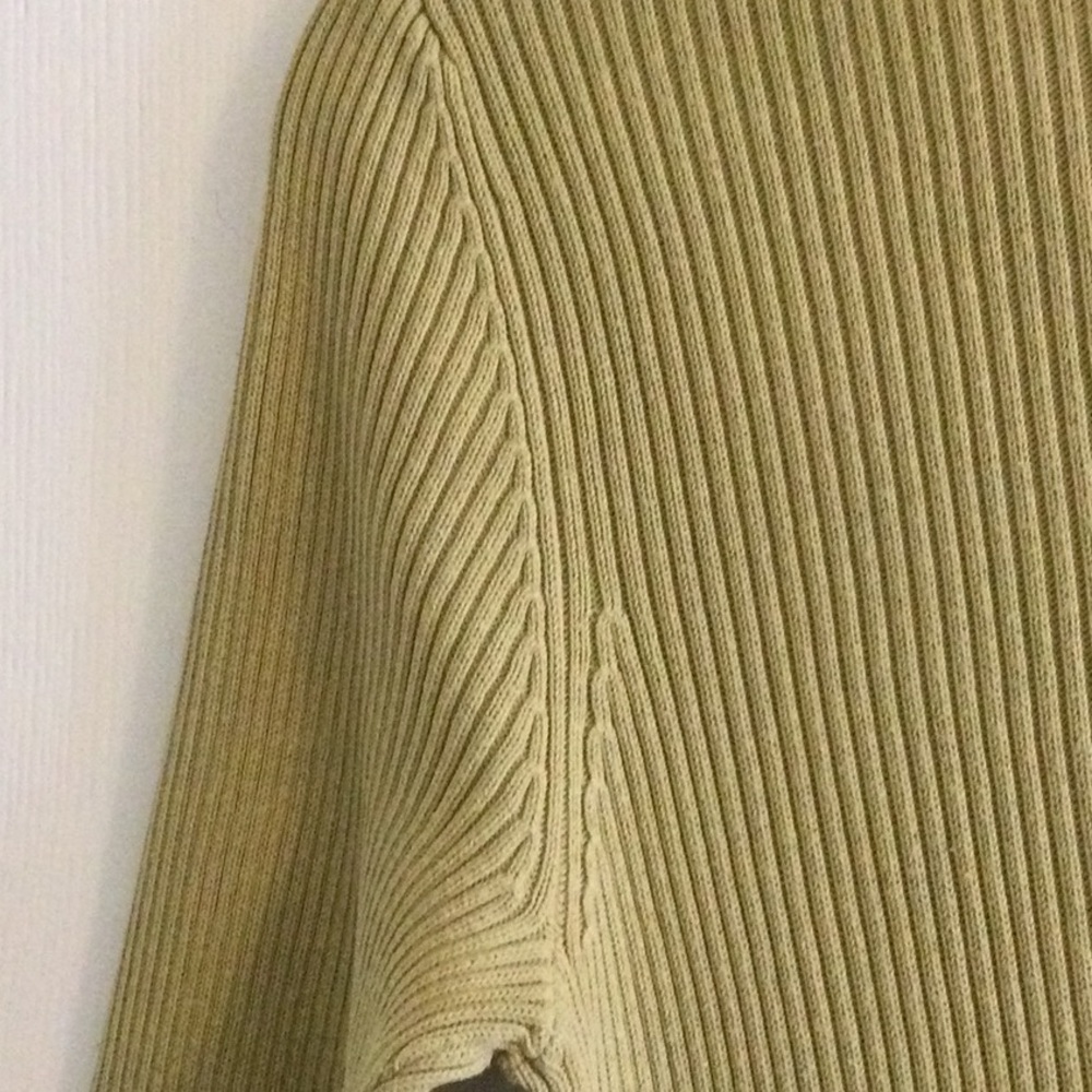 3 for $30 item - Green Laura Petites Turtleneck - Picture 3 of 5